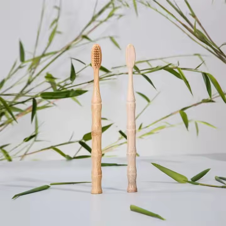 How to Choose and Care for Your Bamboo Toothbrush
