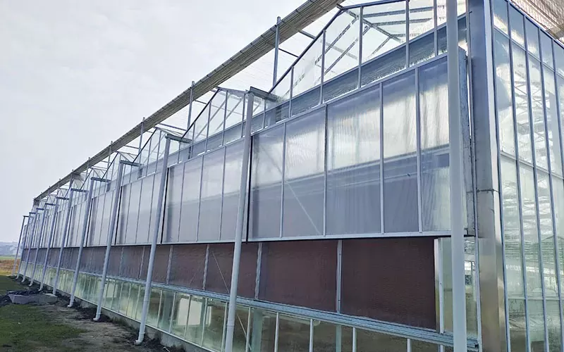 How to Maximize the Benefits of Your PC Greenhouse: Tips for First-Time Owners