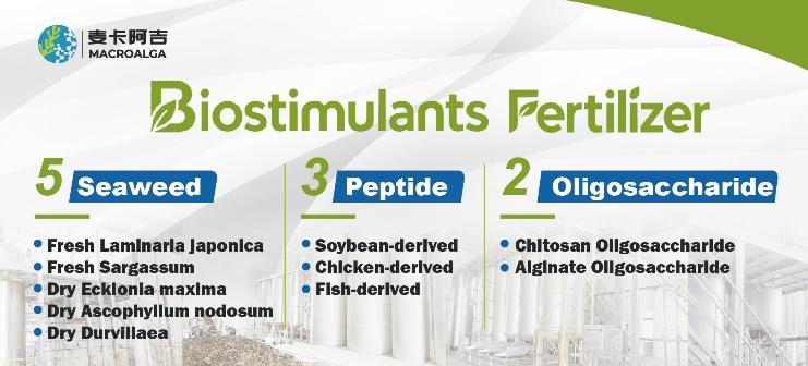 Top Biostimulant Brands in China: A Comprehensive Ranking