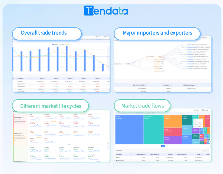 Global Customs Data Providers Transforming Trade Intelligence