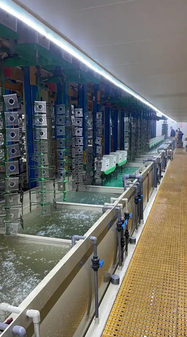 China Sanitary Ware Vertical Lift Plating Equipment: Key Benefits and Features