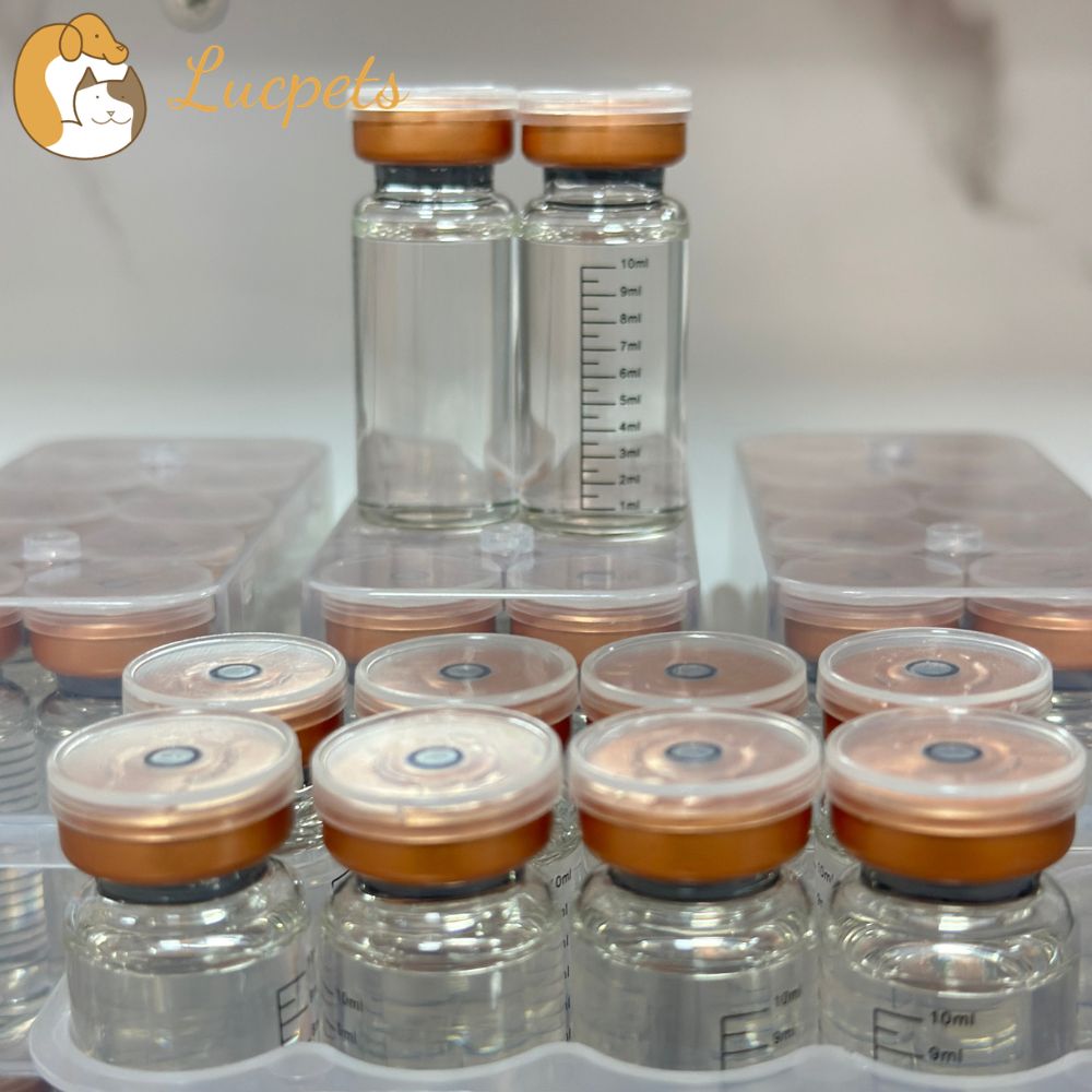 GS-441524 FIP Treatment from China: A Breakthrough Option for Cat Owners